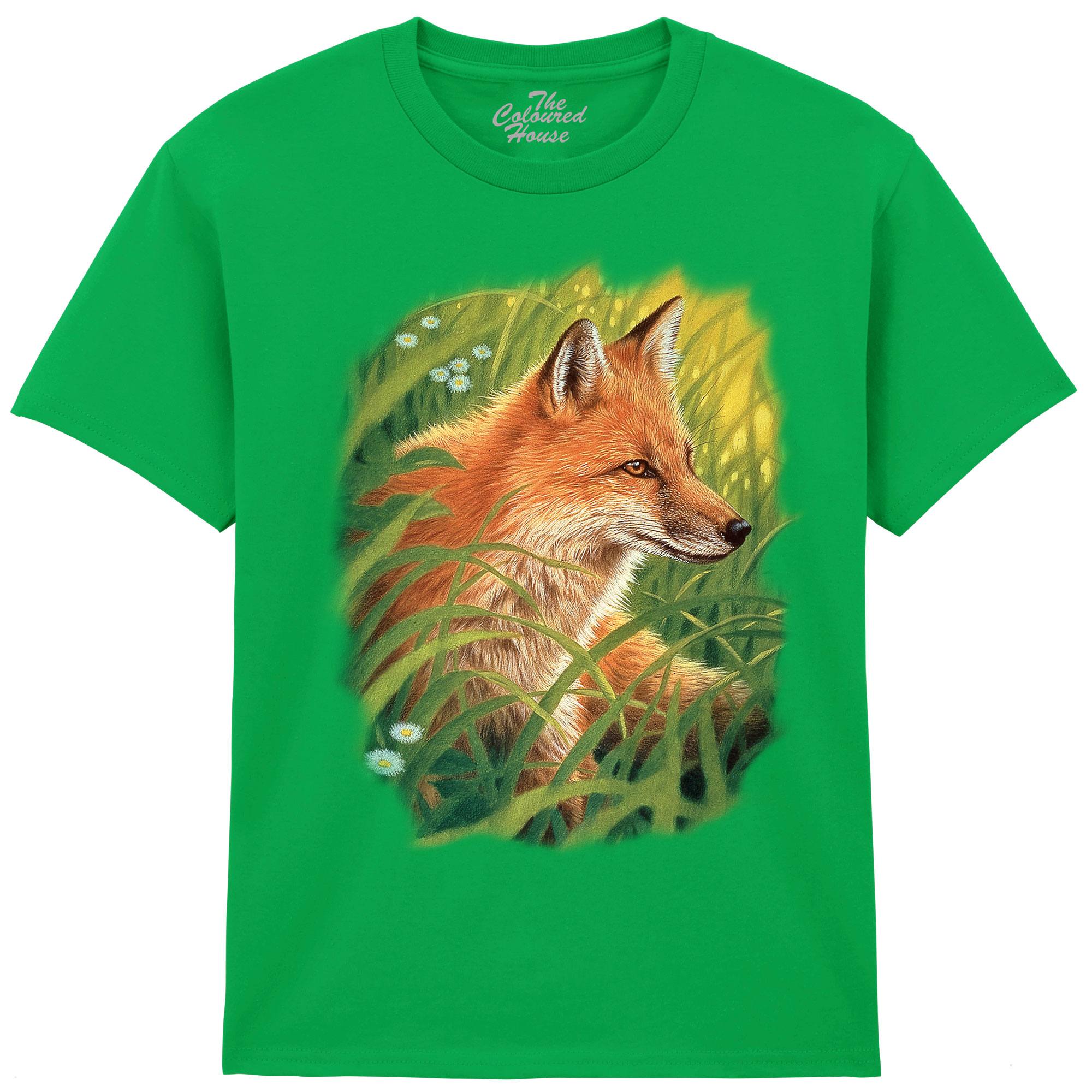 Fox In Summer KIDS