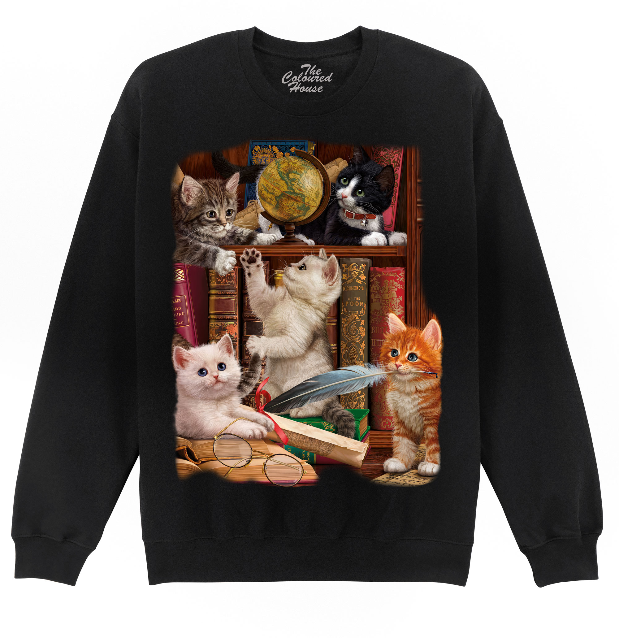 Kittens In The Library Sweater