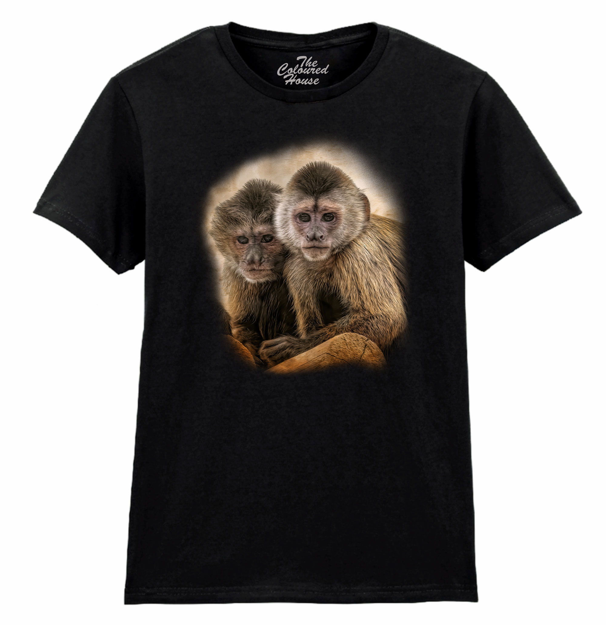 Companions In Mischief Ladies T-shirt
