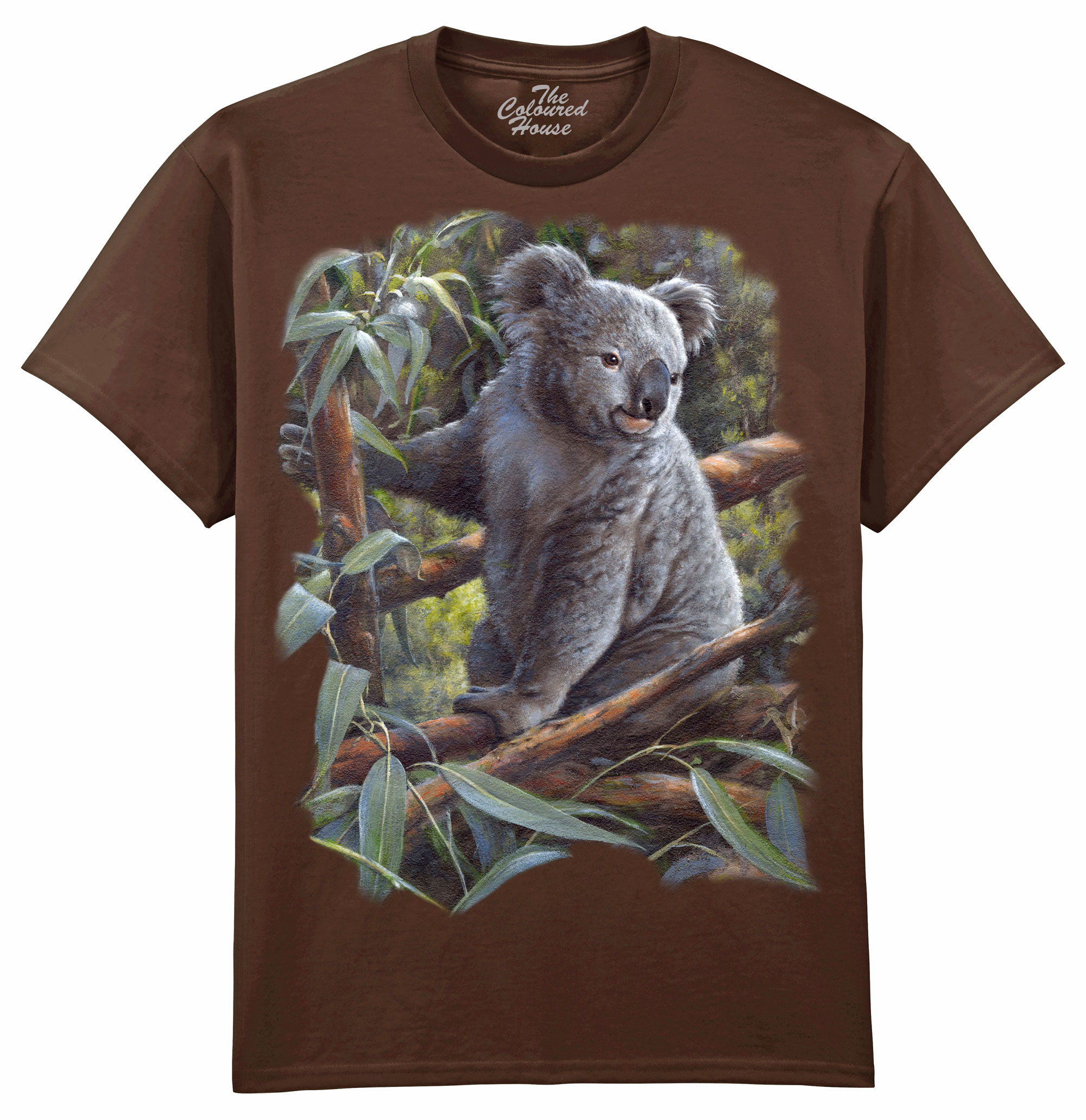 Koala Bear
