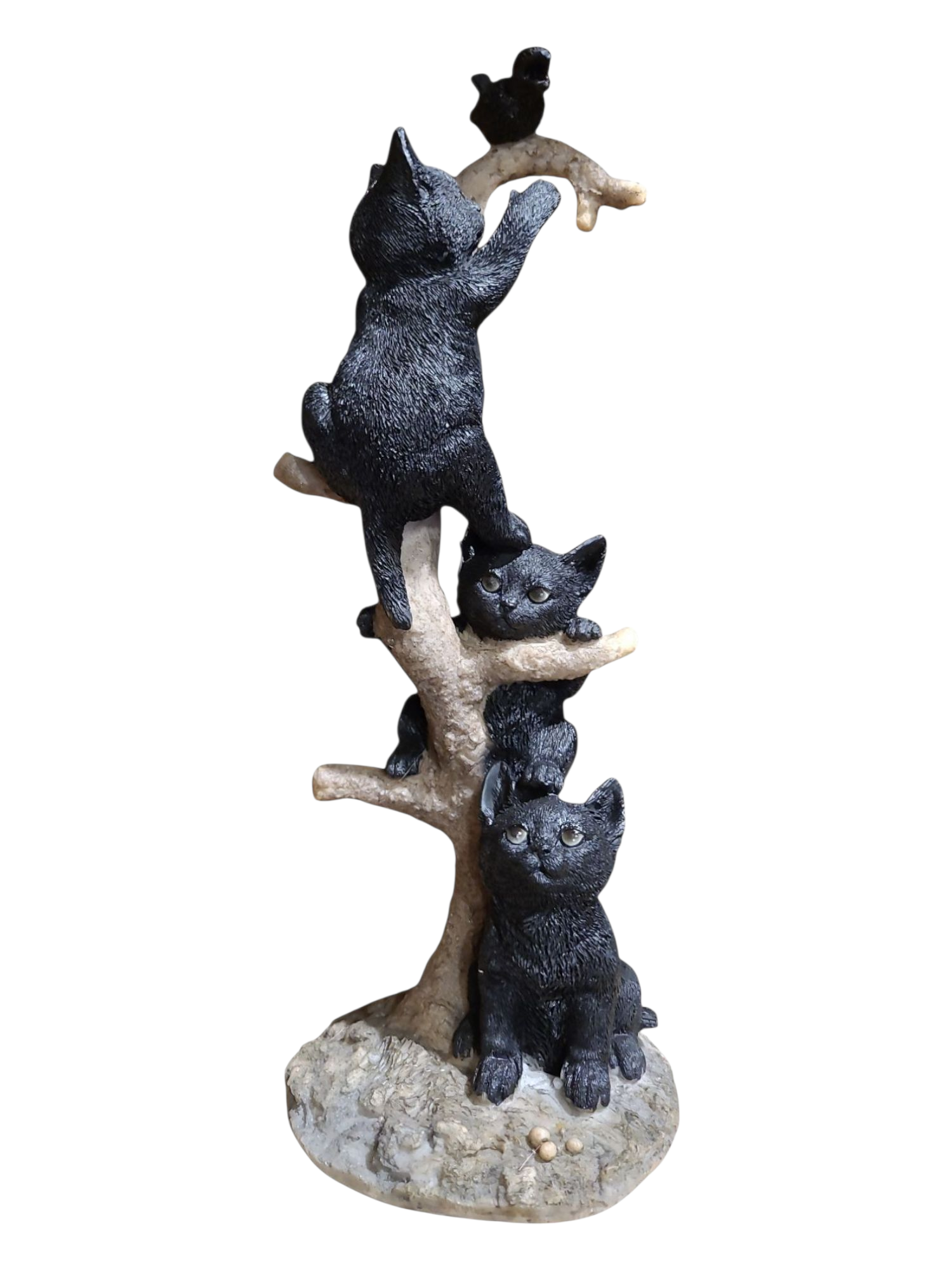 Black Cats Climbing