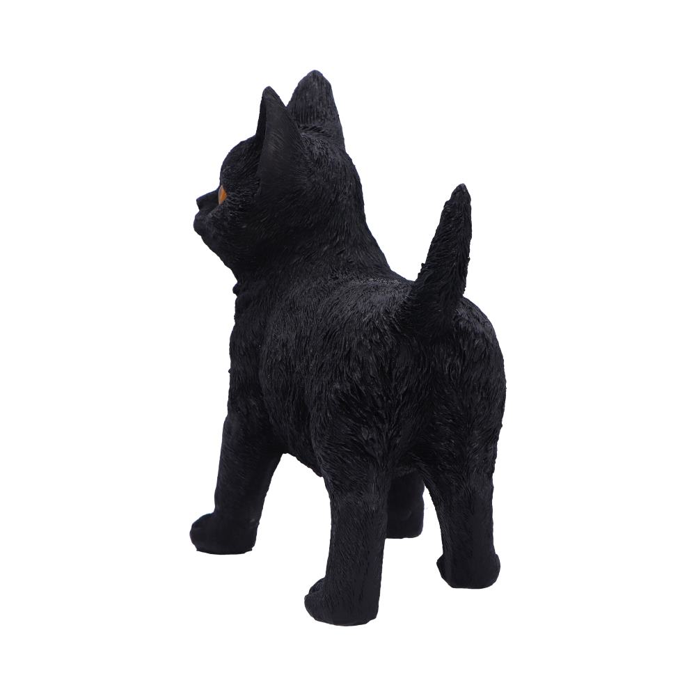 Charmed Companion 20cm - Black Cat Charmed Companion 20cm - Black Cat