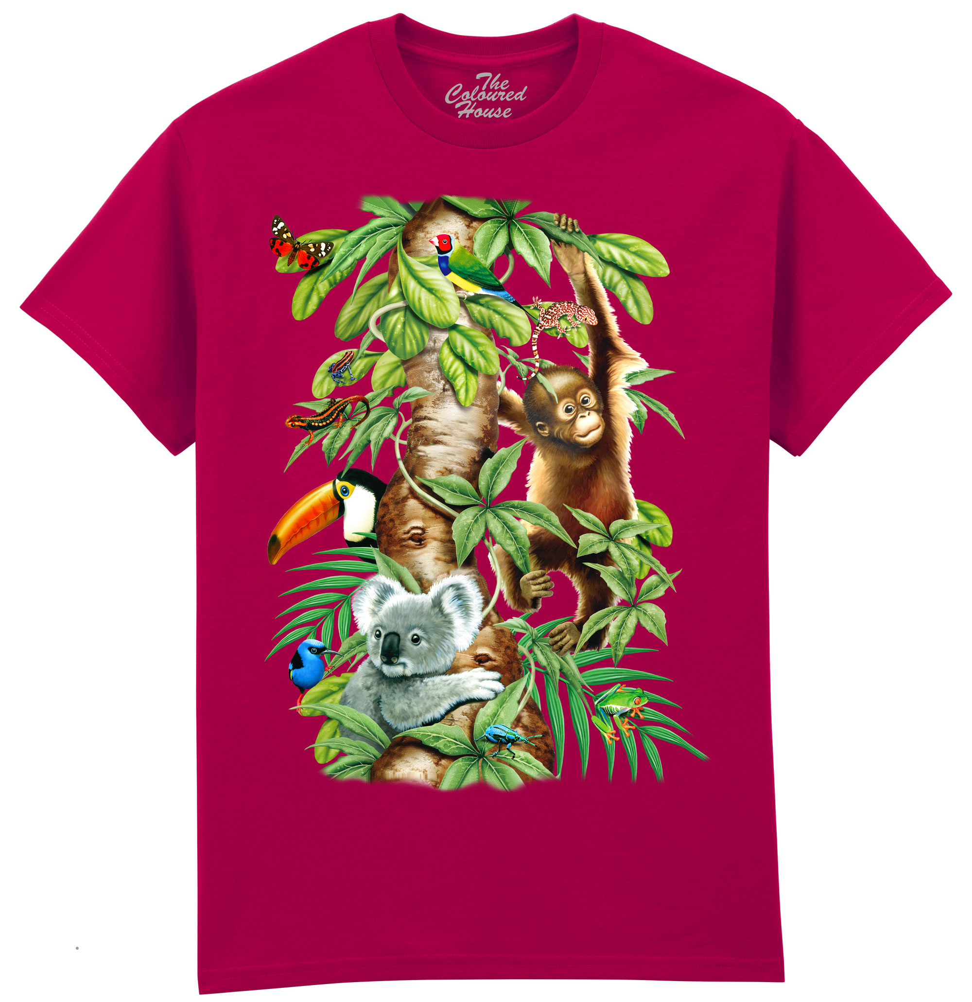 Animals Tree Of Life