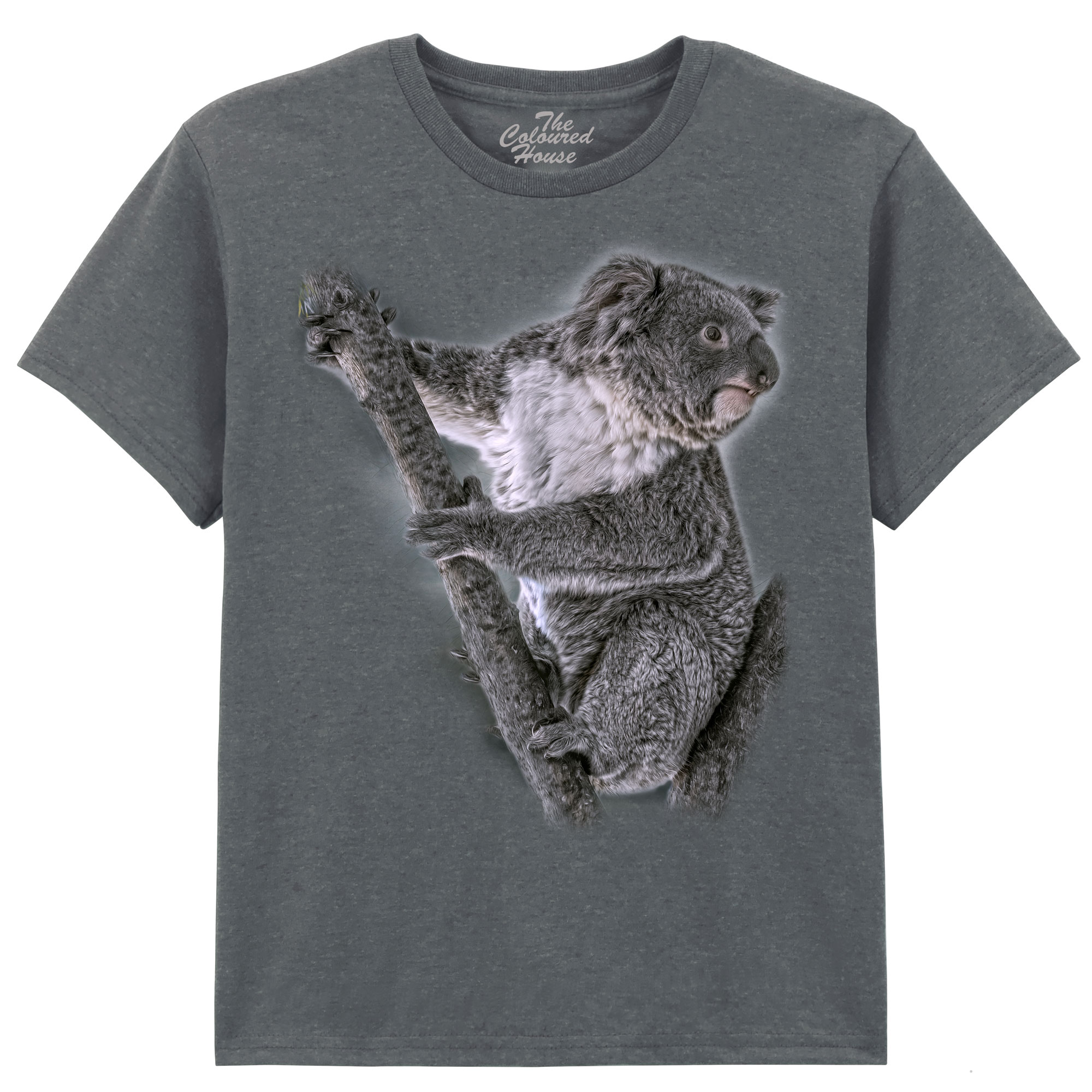 Eucalyptus Whisperer - Koala KIDS