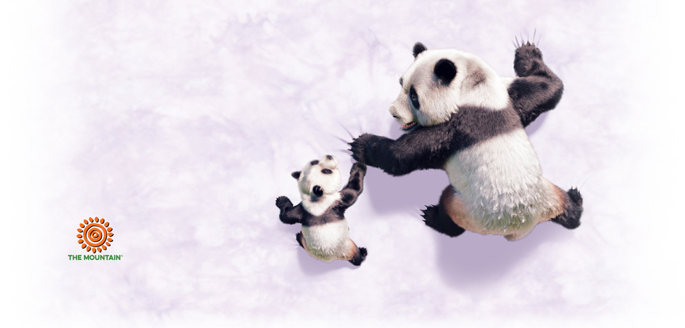 Taza Panda Climb