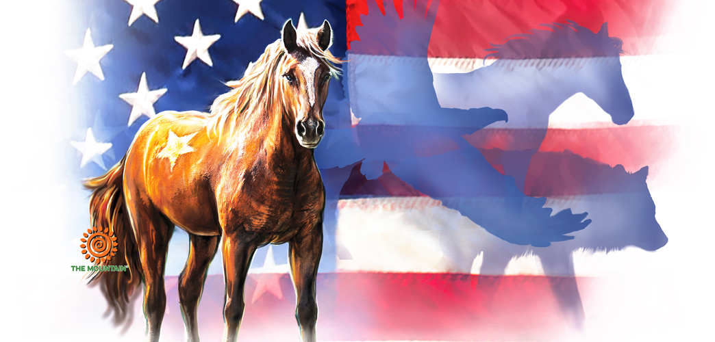 Becher Wild Star Flag