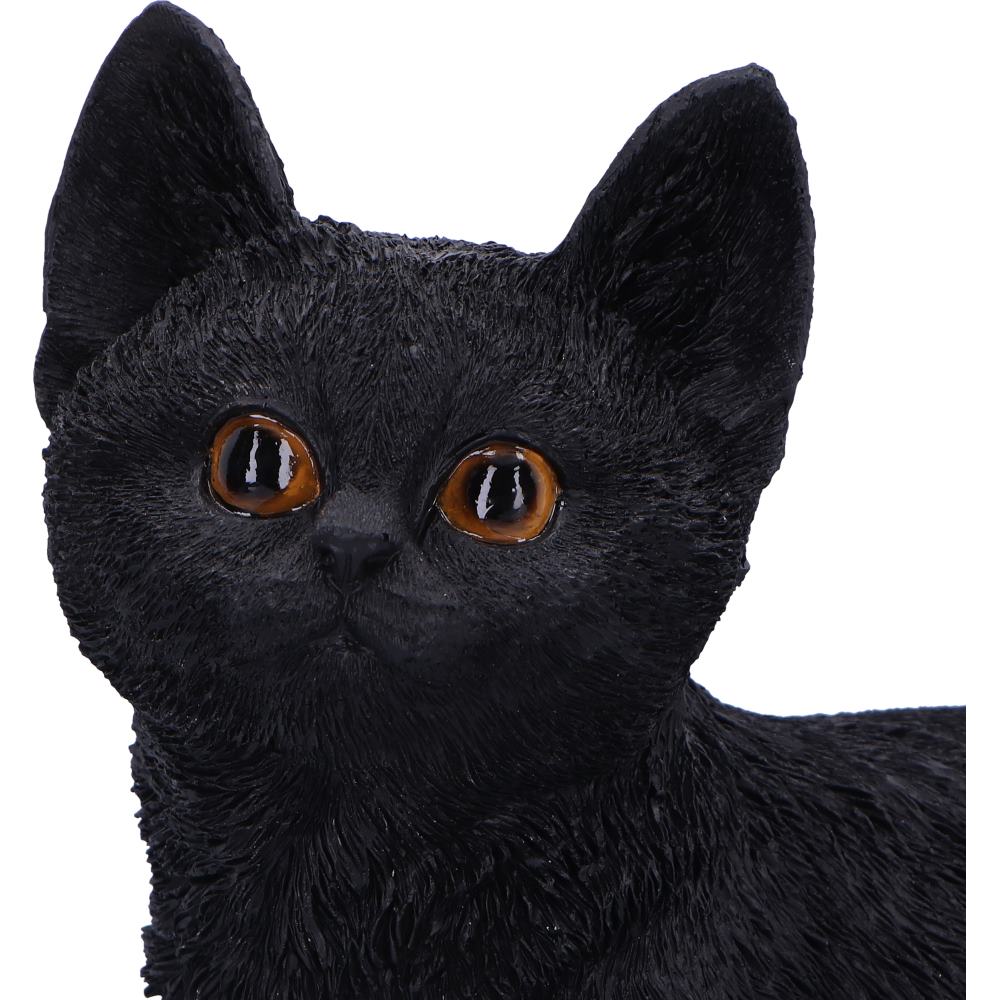 Charmed Companion 20cm - Black Cat Charmed Companion 20cm - Black Cat