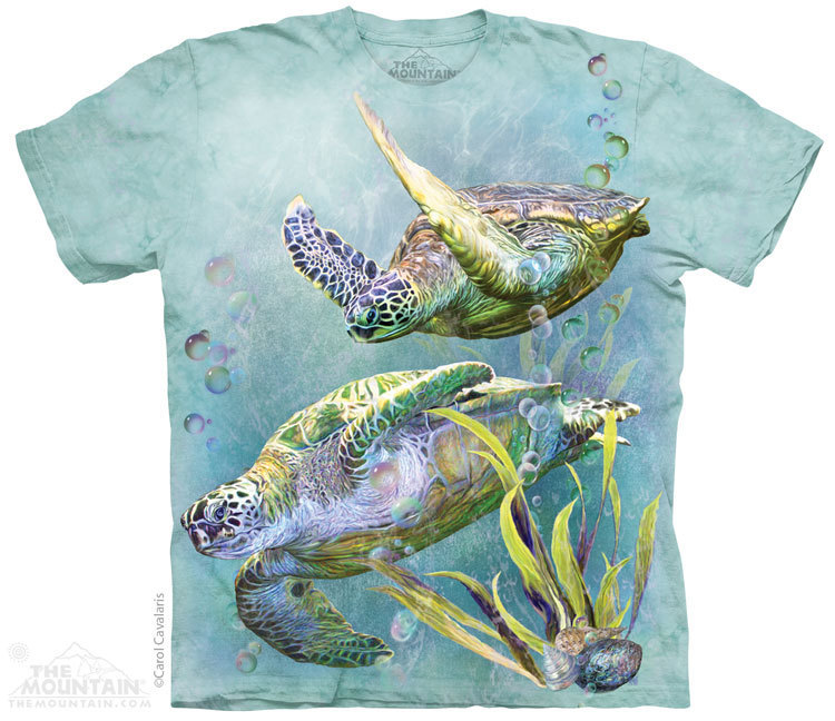Sea Turtle Swim