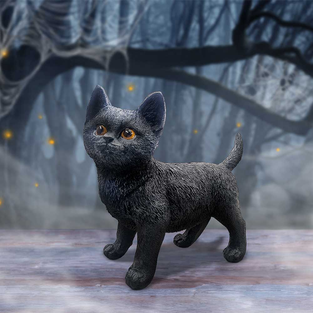 Charmed Companion 20cm - Black Cat Charmed Companion 20cm - Black Cat