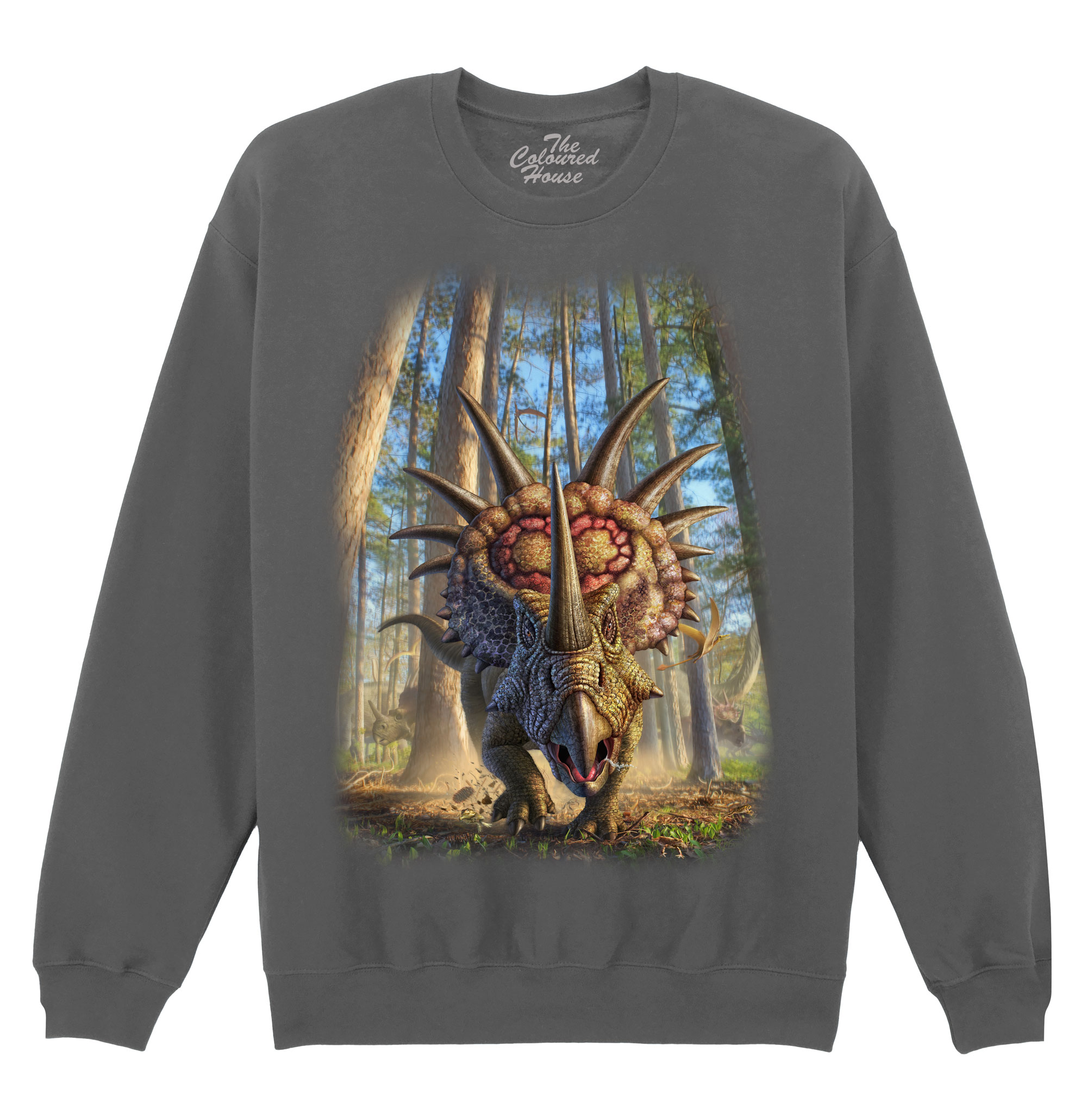 Styracosaur Sweater