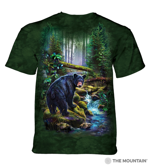 Black Bear Forest