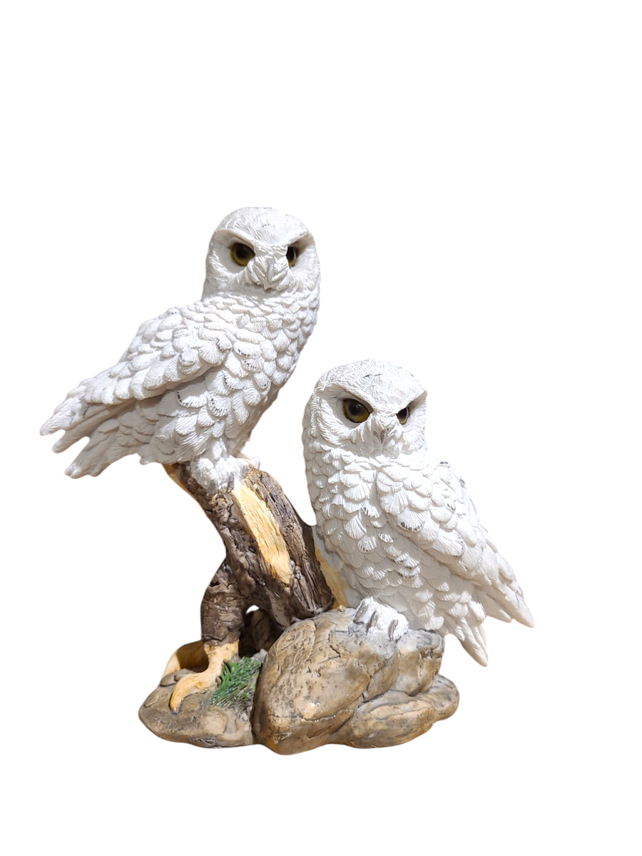 Small Pair Of Snowy Owls