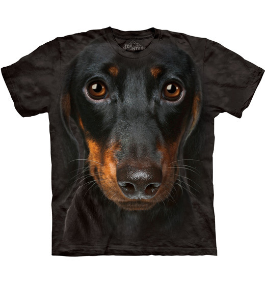Dachshund Face