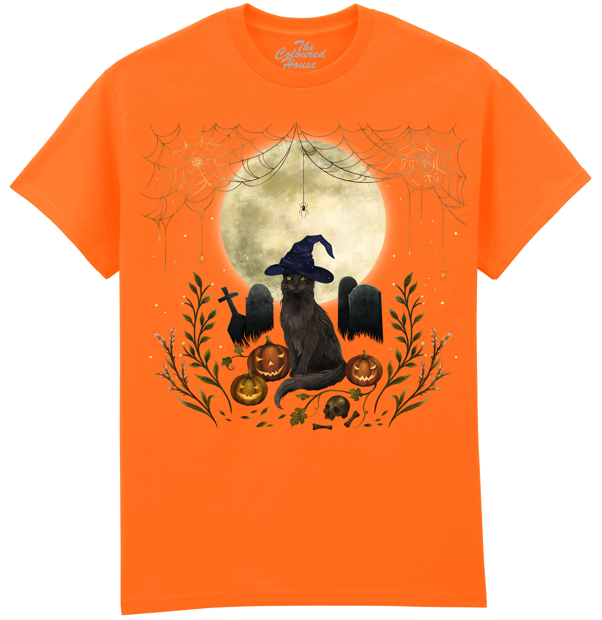 Halloween Cat