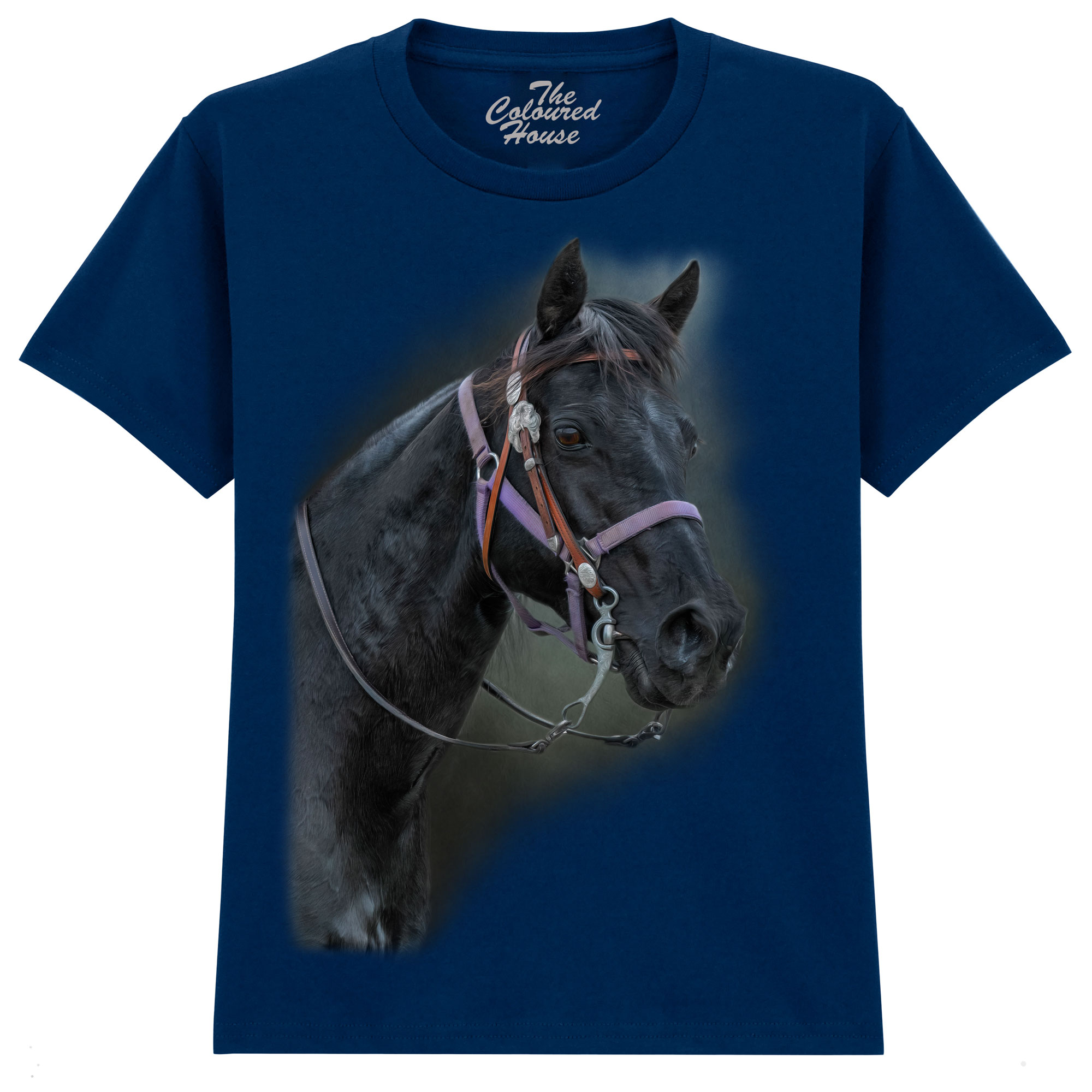 Pride Of The Pasture - Horse KIDS