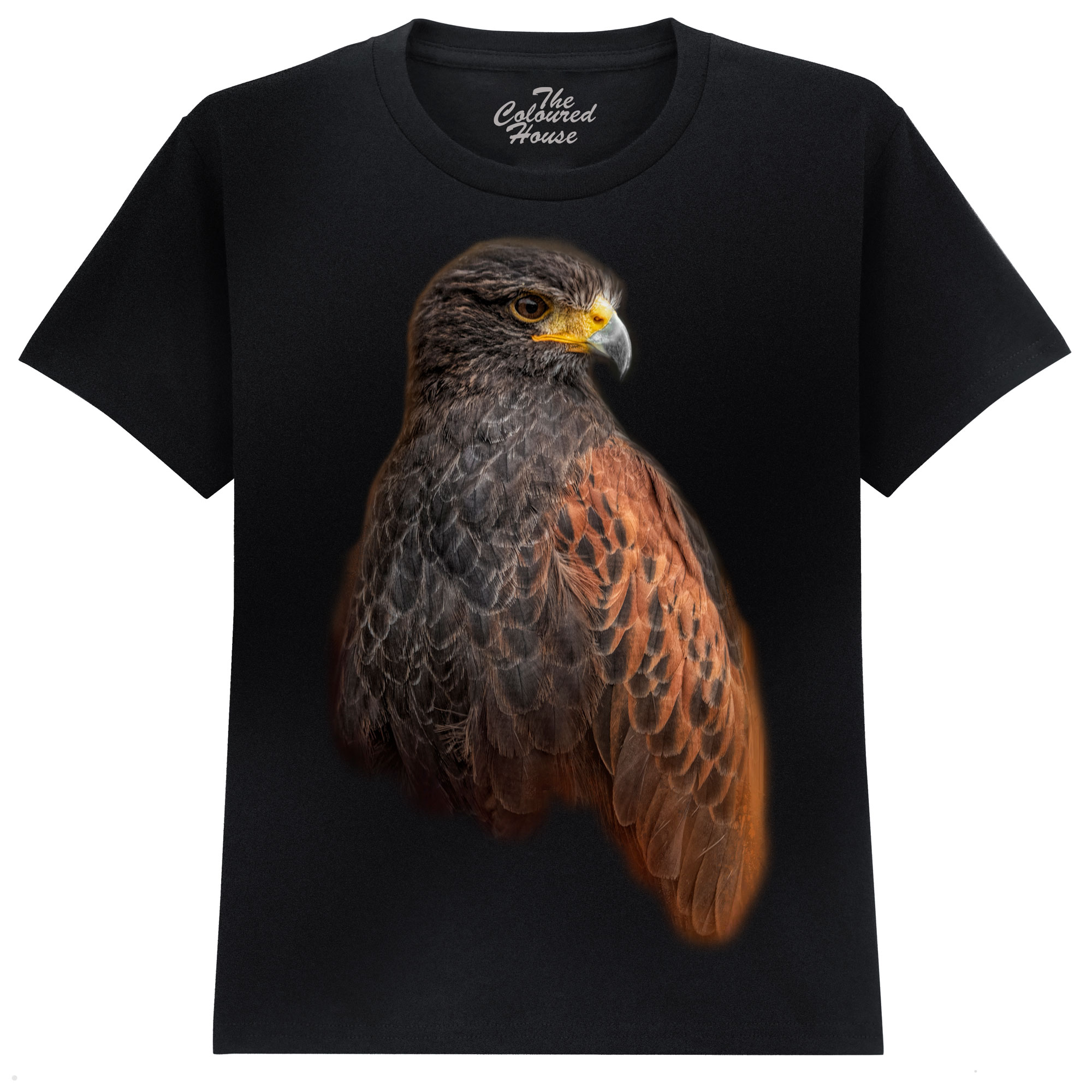 The Hunter - Golden Eagle KIDS