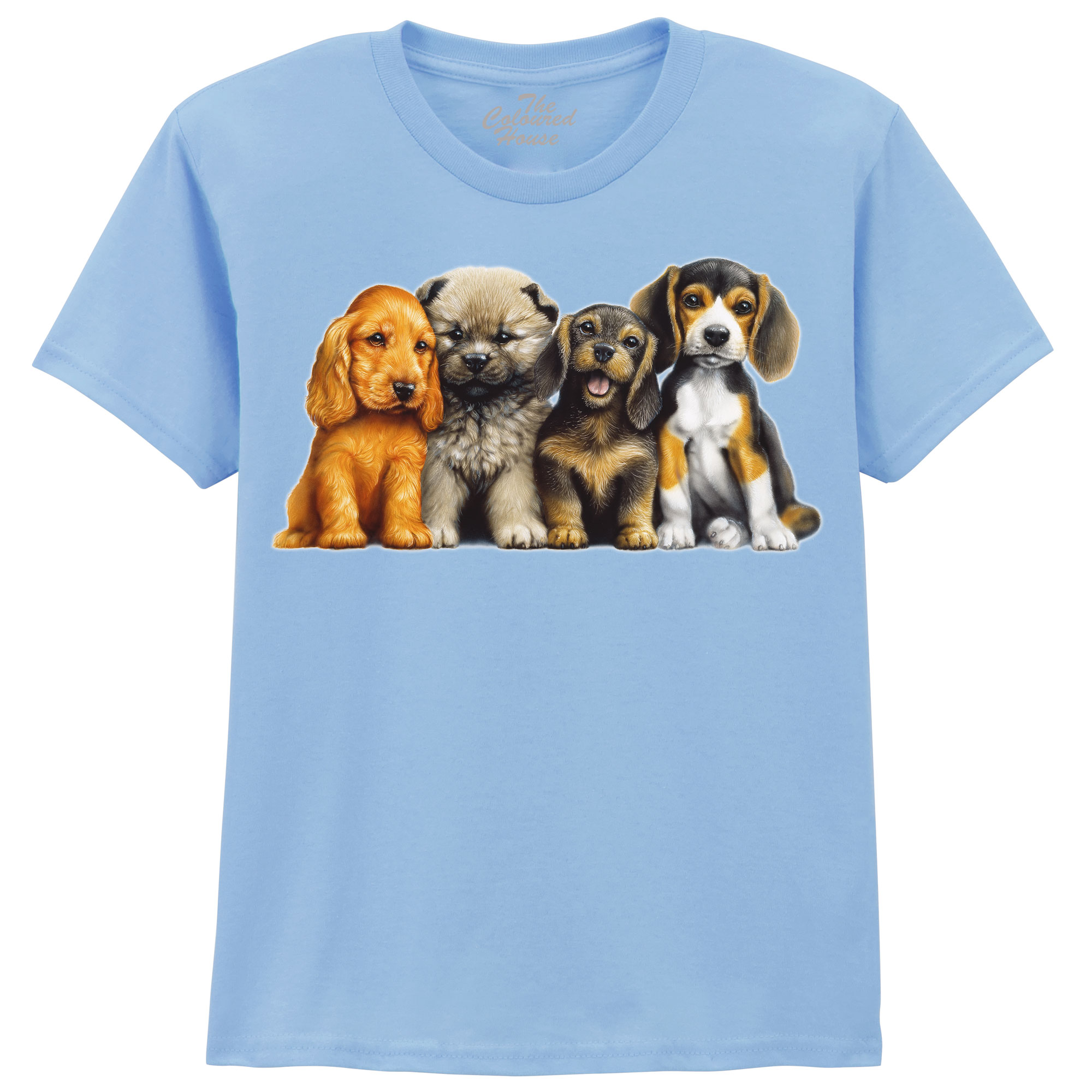 Young Dogs KIDS