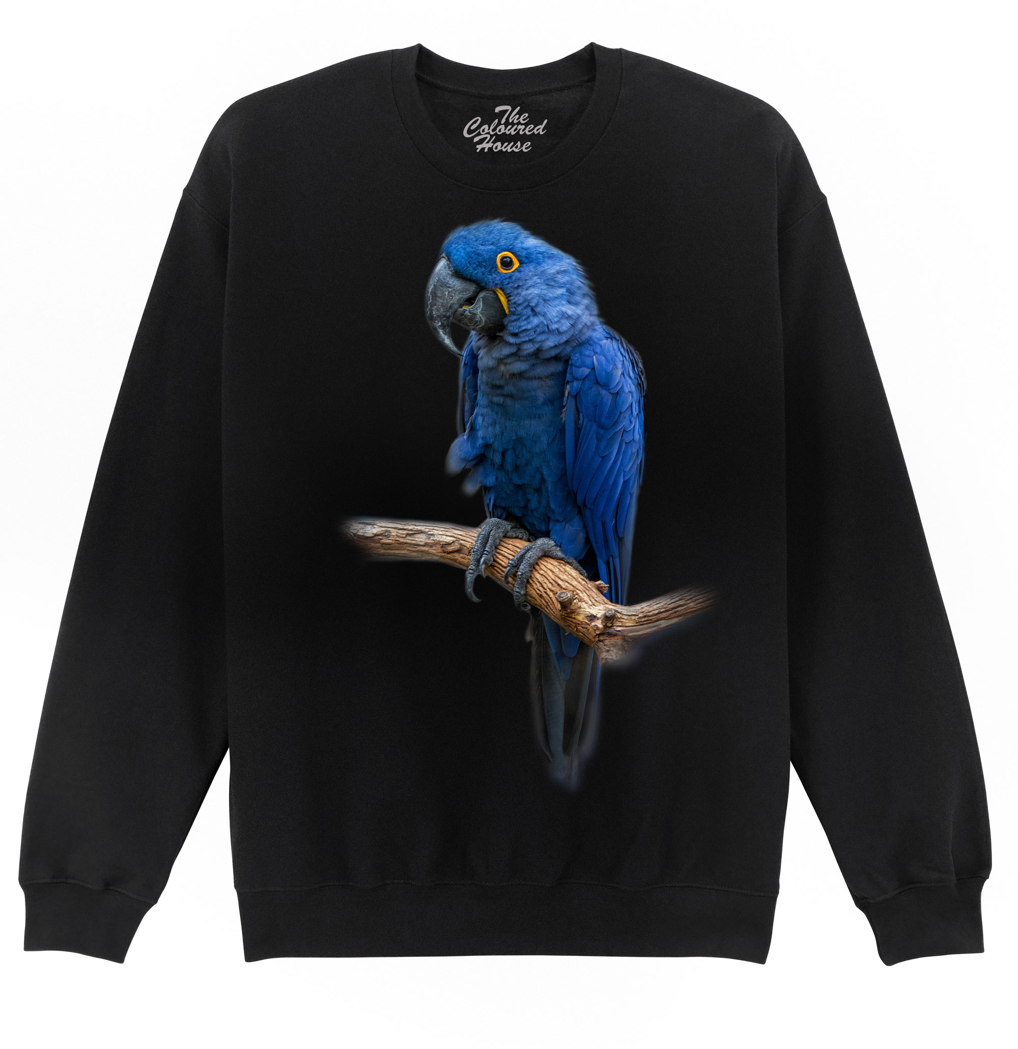 Blue Gem - Macaw Sweater