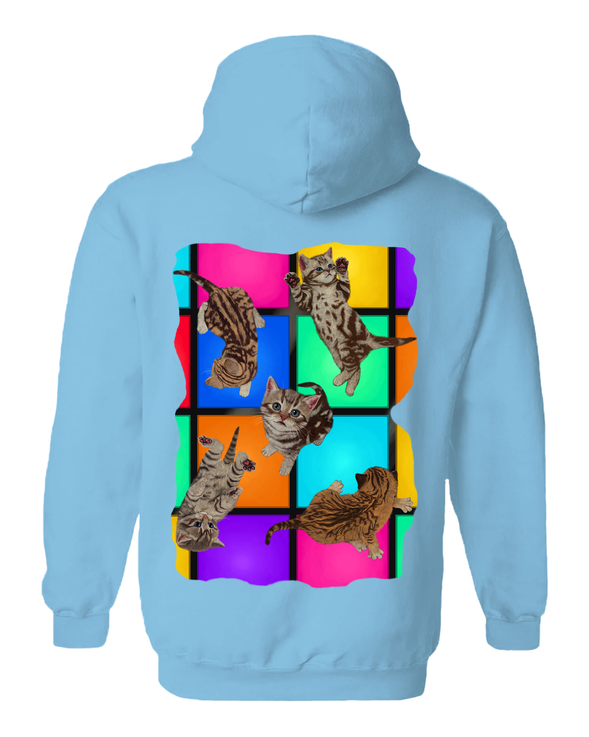 Disco Kittens Hoodie