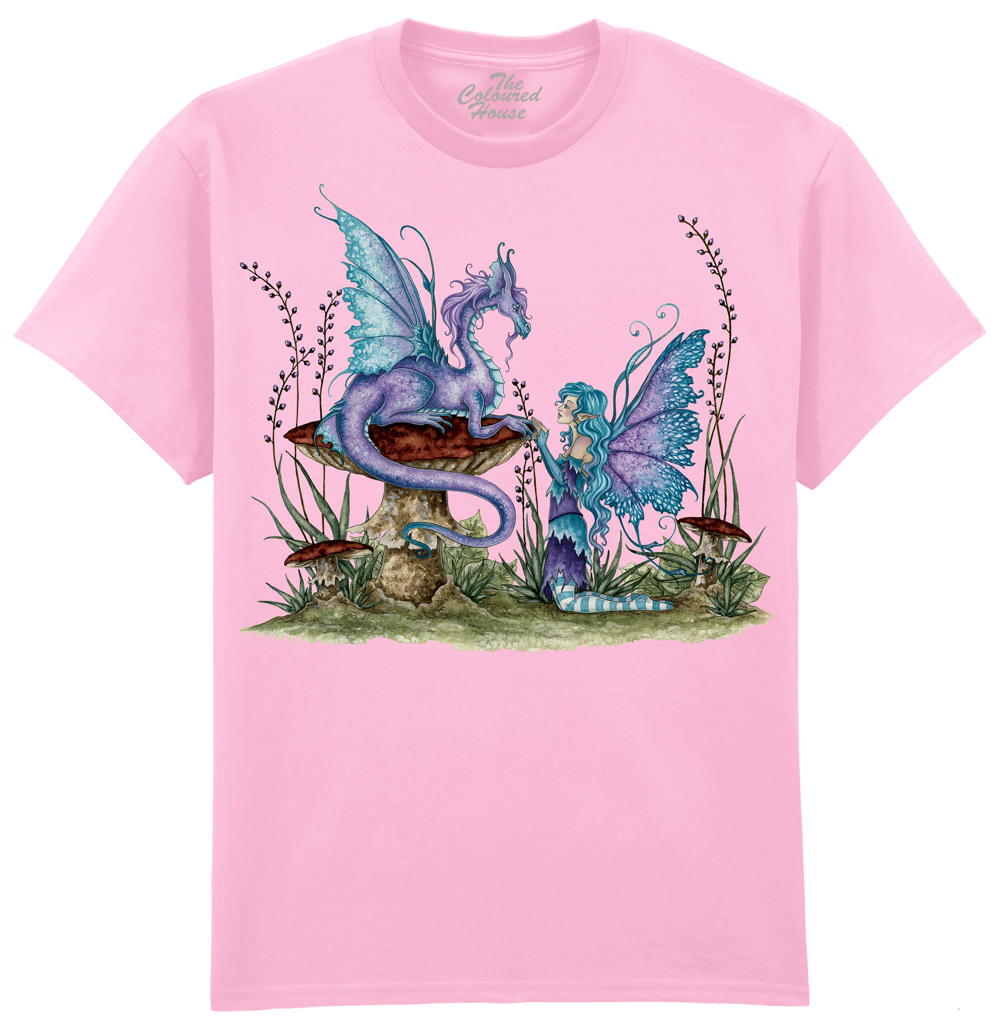 Companions - Fairy and Dragon