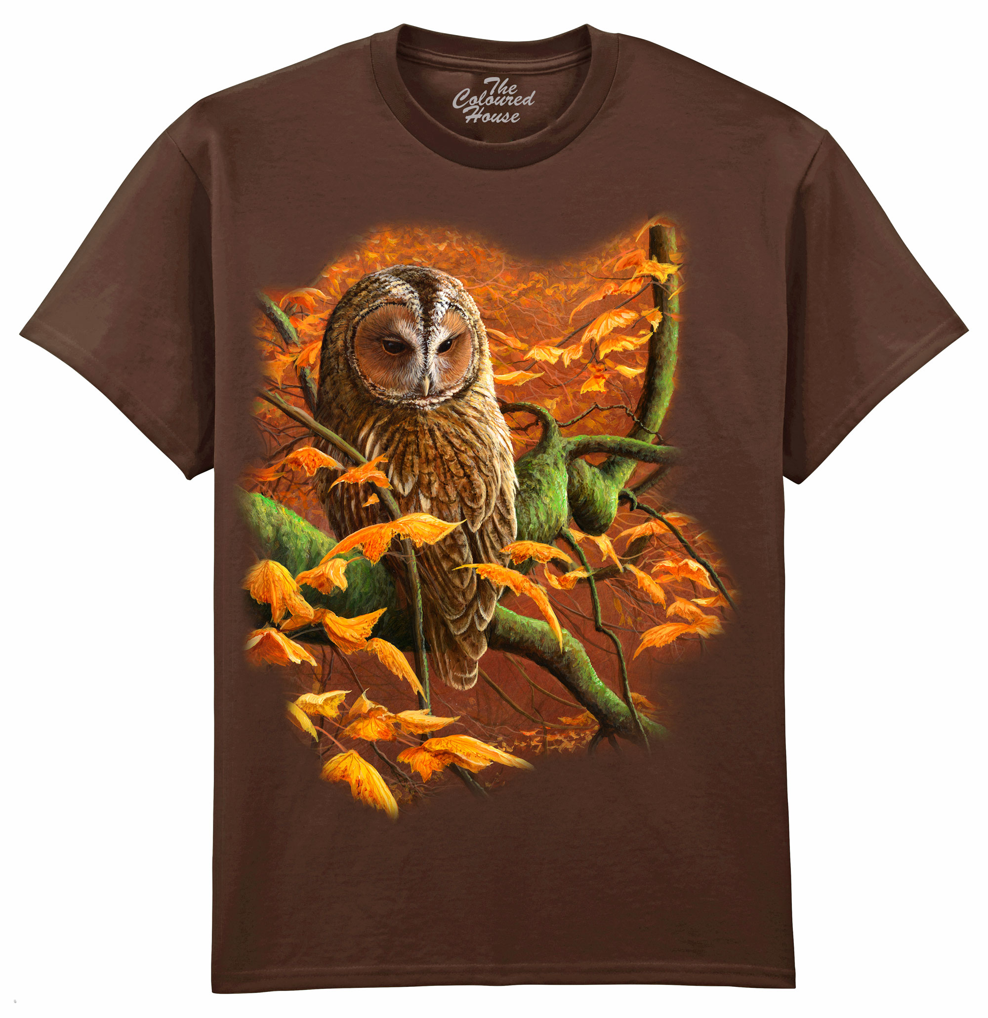 Autumn Tawny Owl