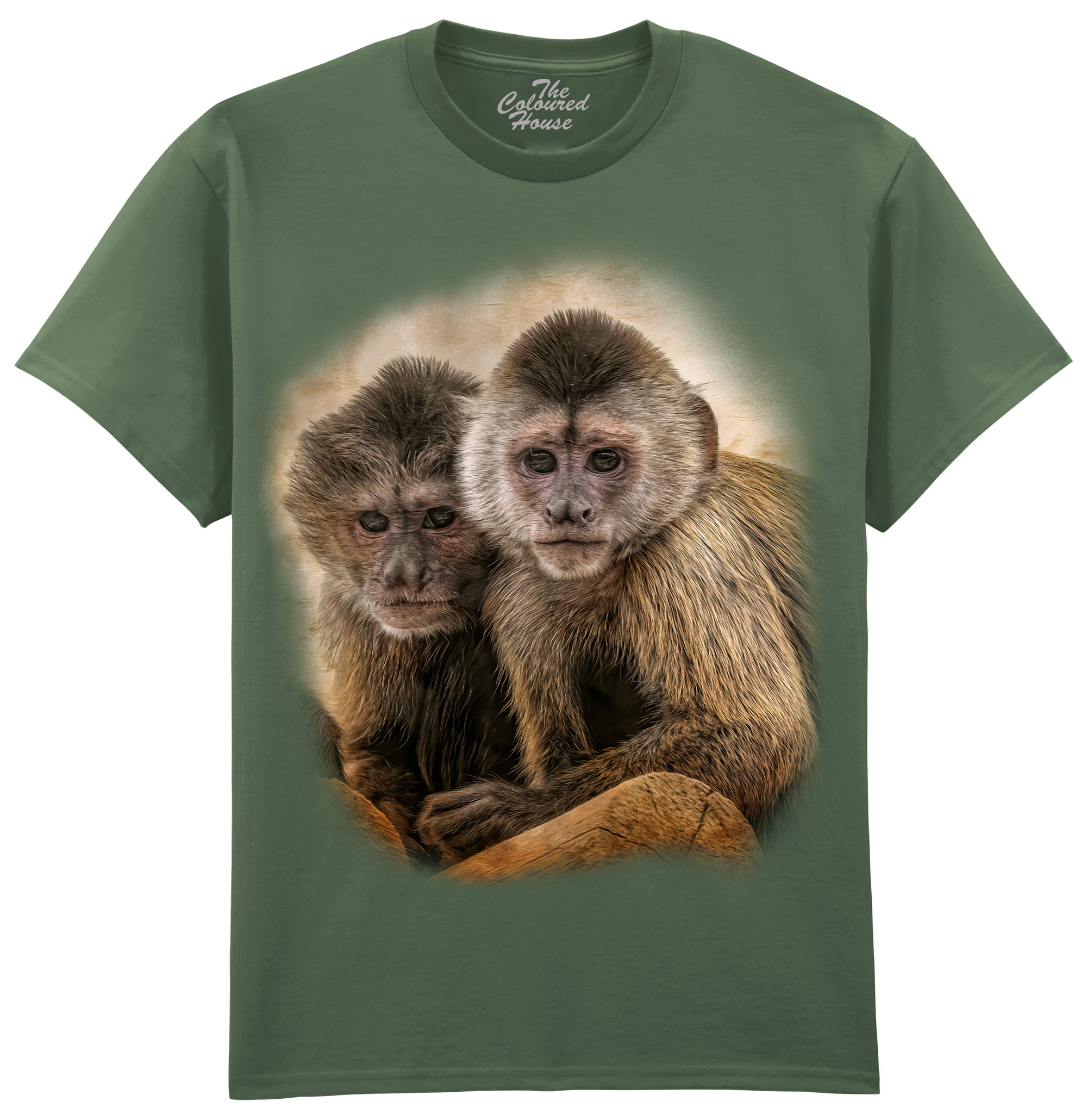 Companions In Mischief - Squirrel Monkeys