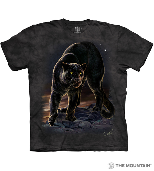 Panther Portrait
